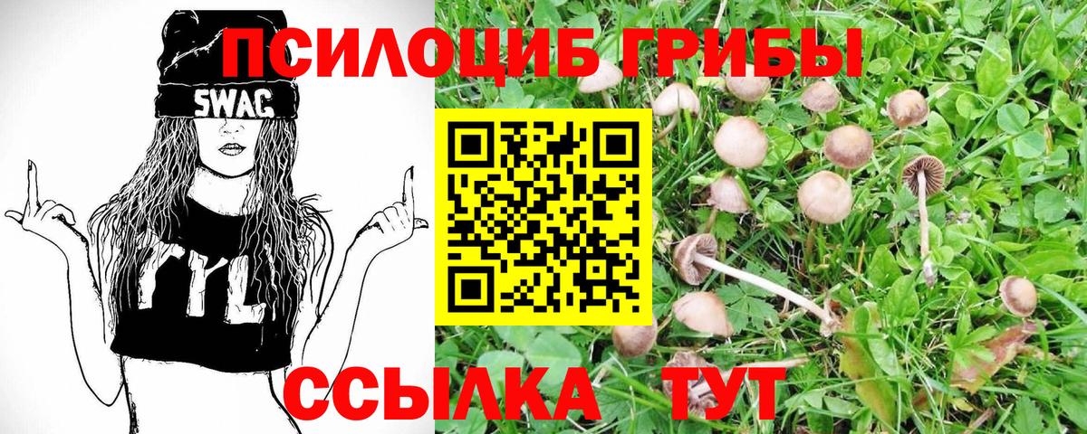 Псилоцибиновые грибы мухоморы  Вход с VPN  Галлюциногенные грибы мицелий  Камень-на-Оби 