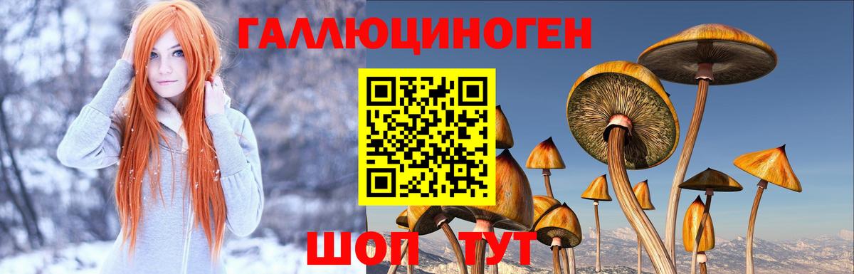 Псилоцибиновые грибы прущие грибы Камень-на-Оби